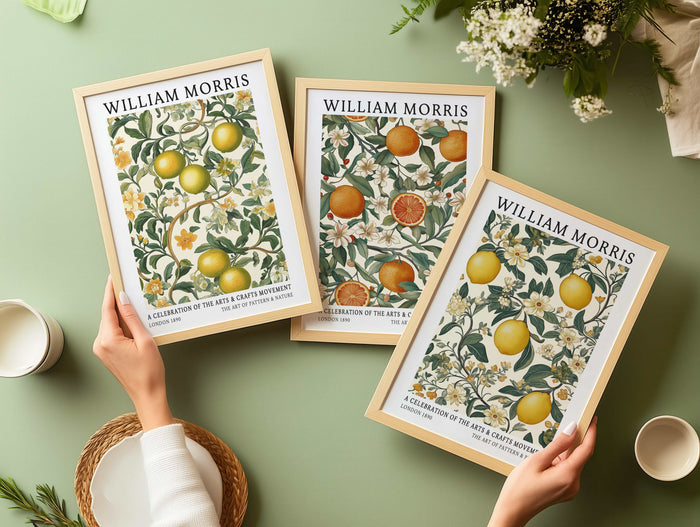 The Citrus Collection