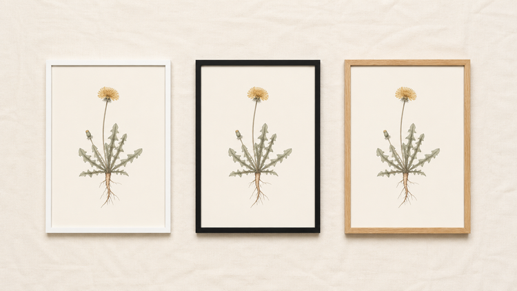 White, Black, or Oak: How to Pick the Right Frame for Your Print