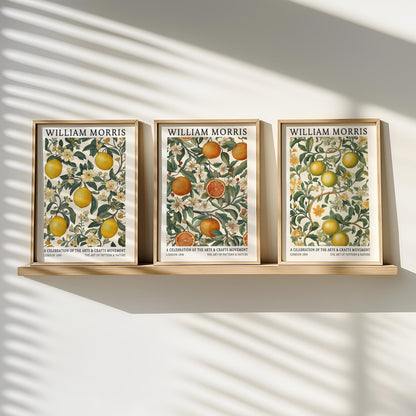 William Morris Citrus Print Set of 3