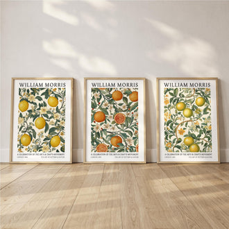 William Morris Citrus Print Set of 3