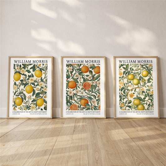 William Morris Citrus Print Set of 3